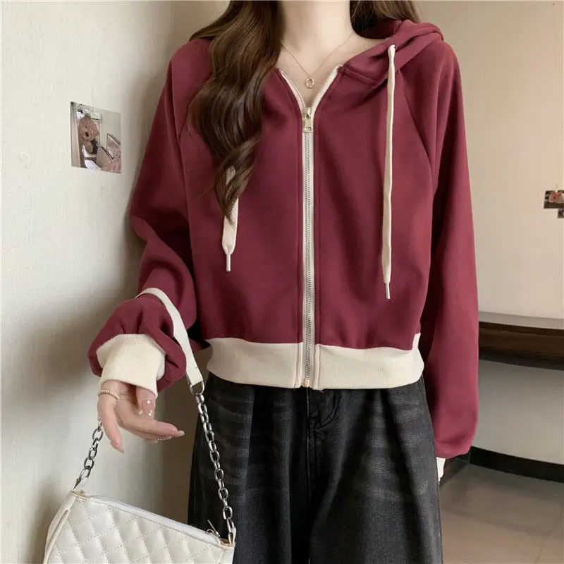 Hoodie Wanita Korea Musim Semi - Summer Clothing Drawing ulasan dan harga